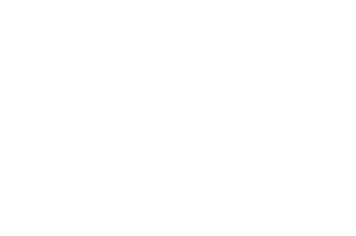 Erfan Kooshesh Logo